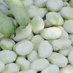 Фото Посівний матеріал квасолі. Насіння квасолі.