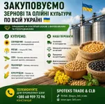 Фото Закупка зернових, олійних, бобових. База, некондиція