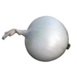 Сорти цибулі Крістал F1 / Cristal F1