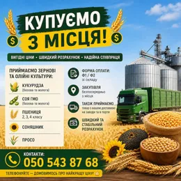 Постійно купуємо зернові та олійні