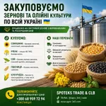 Фото Купуємо зернові, олійні, бобові. База, некондиція