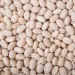 Фото Посівмат квасолі з гарантією викупу врожаю.