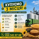 Фото Постійно купуємо зернові та олійні