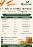 Фото Добірне насіння озимої пшениці для посівної 2026 року