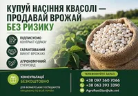 Фото Насіння квасолі білої з гарантією викупу врожаю