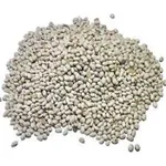 Фото Насіння квасолі Червона Шапочка, Неві Бінс, Ред Кідні, Пінто