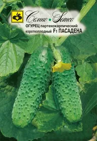 Сорти огірків Пасадена F1 / Pasadena F1