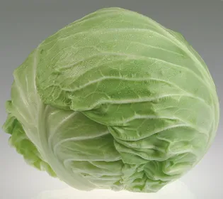 Сорти капусти Грандслам F1 / Grandslam F1