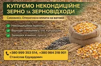 Фото Купуємо некондицію та зерновідходи на постійній основі