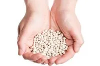 Фото Насіння квасолі. Форвардні контракти. Гарантований викуп врожаю.