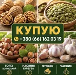 Фото Куплю часник, горіхи, насіння гарбуза