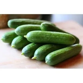 Сорти огірків Бейбі F1 / Baby F1