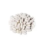 Фото Закупка квасолі на консервування