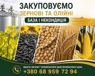 Фото Купуємо зернові та олійні культури будь-якої якості
