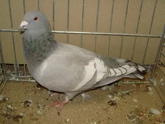 3500