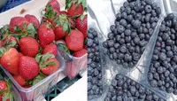 Фото Продам свіжу полуницю та лохину.