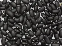 Фото Квасоля оптом від виробника з доставкою