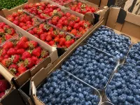 Фото Продаж свіжої полуниці та лохини.