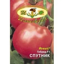 Сорти помідорів Супутник F1