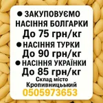 Фото Закупівля насіння гарбуза