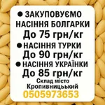 Фото Закупівля гарбузового насіння