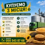Фото Приймаємо зернові та олійні культури
