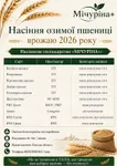 Фото Насіння озимої пшениці врожаю 2026 року від виробника