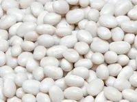 Фото Квасоля оптом від виробника. 20 сортів в асортименті