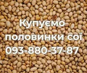 Фото Закуповуємо половинки сої (оплата Ф1, Ф2)