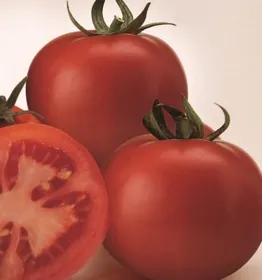 Сорти помідорів Супер сет F1