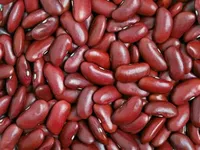 Фото Високоякісна квасоля оптом