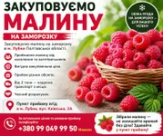 Фото Купуємо малину на заморозку