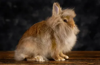 537