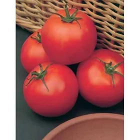 Сорти помідорів Гранд