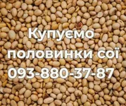 Фото Постійно купуємо половинки сої