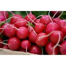 Сорти коренеплідних Анабель F1 / Annabel F1