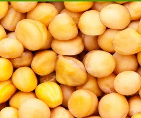Зимуючий жовтий горох ФЕРО, 1 репродукція