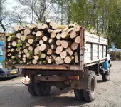 Фото Кленові дрова. Є об’єми в наявності