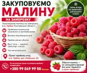 Фото Приймаємо малину на заморозку