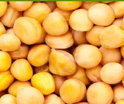 Фото Зимуючий жовтий горох ФЕРО, 1 репродукція