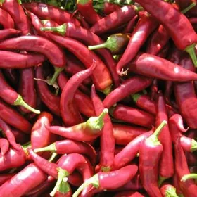 Сорти перцю Годонінська / Hodoninska