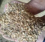 Фото Купуємо зерновідходи та некондиційне зерно. Самовивіз