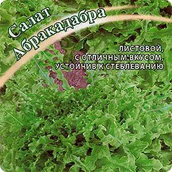 Сорти капусти Абракадабра