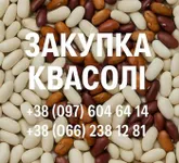 Фото Купуємо квасолю. Заберемо своїм транспортом