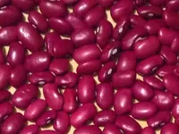 Фото Великий вибір сортової квасолі.