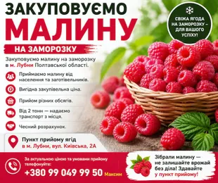 Куплю малину на заморозку