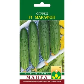 Сорти огірків Марафон F1