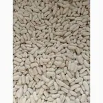 Фото Купуємо квасолю на переробку, консервування