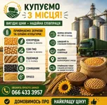 Фото Постійно купуємо зернові та олійні з господарства.