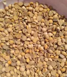 Фото Купуємо половинки сої. Самовивіз по Україні